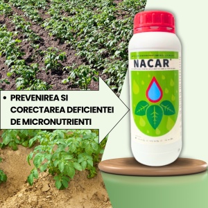 BIOPACK Etapa 2 CARTOFI - Corectarea carentelor nutritive si intarirea structurii celulare - Img 2