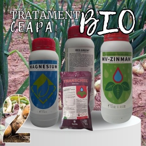 BIOPACK Etapa 2 Ceapa - Crestere Vegetativa - Faza de Maturizare