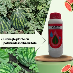 Pachet BIOPACK Etapa 1 Pepeni - Conditia Optima a Solului - Img 4