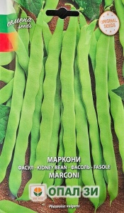 Seminte Fasole urcatoare MARCONI, varietate de gradina