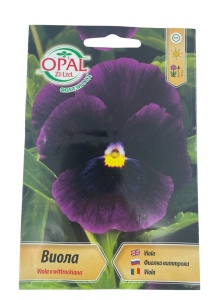 Seminte pentru Viola x Wittrockiana – Panselute Ornamentale Multicolore