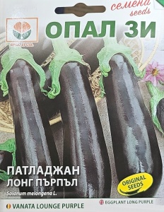 Seminte vinete LOUNGE PURPLE, varietate precoce, 22-25 cm