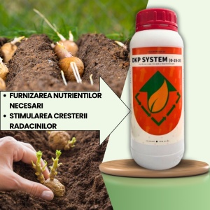 BIOPACK Etapa 1 CARTOFI - Dezvoltarea Radacinilor si Stimularea Cresterii - Img 3