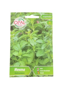 Seminte de Menta - Plante Aromatice pentru Gradina, OPAL ZI