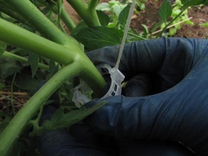 Cleme din plastic dur pentru sustinerea plantelor, 23 mm diametru - Img 2