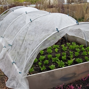 Folie Agrila Microporoasa Anti-Inghet 23 GR/MP – 6x250m