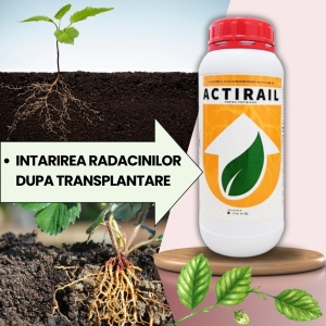 Pachet BIO Etapa 1 Capsuni - Transplant, Crestere si Sporirea Productiei - Img 2