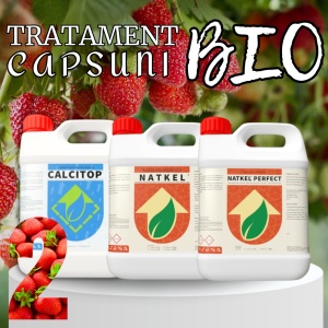 PACHET BIO Etapa 2 CAPSUNI - Stabilizarea Fructului, Crestere si Intensificare Culoare