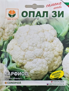 Seminte Conopida SNOWBALL, varietate cu capatana mare si alba