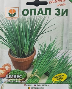 Seminte de arpagic CHIVES, varietate timpurie cu randament ridicat