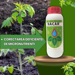BIOPACK Etapa 1 ROSII - Transplant si Crestere – 700MP - Img 3