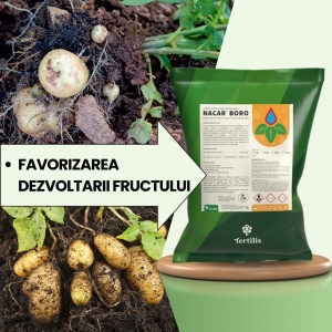 BIOPACK Etapa 2 CARTOFI - Corectarea carentelor nutritive si intarirea structurii celulare - Img 3