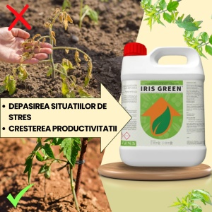 BIOPACK Etapa 2 ROSII - Sporirea Randamentului - Img 2