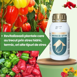BIOPACK Etapa 4 ARDEI – Coacere Omogena si Calitate Ridicata - Img 2