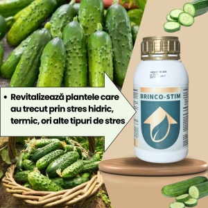 Pachet BIO Etapa 4 CASTRAVETI – Dezvoltare Fructe si Crestere Viguroasa - Img 2