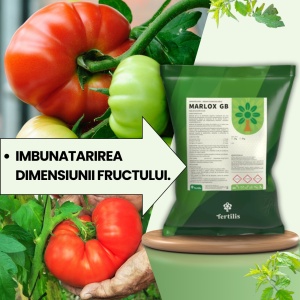 Pachet BIO Etapa 4 ROSII - Stimulare Crestere si Intensificare Coloratie Fructe - Img 2