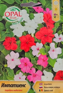 Seminte de planta SPORUL CASEI, ideale pentru ghivece