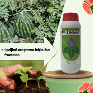 BIOPACK Etapa 3 Pepeni - Inflorire si Dezvoltarea Fructelor - Img 4