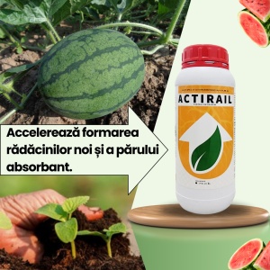 Pachet BIOPACK Etapa 1 Pepeni - Conditia Optima a Solului - Img 2