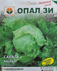 Seminte de salata ICEBERG, varietate medie cu randament ridicat