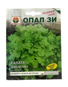 Seminte Salata Tip Frunza de Stejar, plic 2 grame