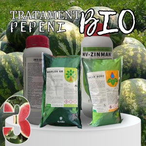 BIOPACK Etapa 3 Pepeni - Inflorire si Dezvoltarea Fructelor