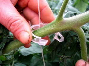 Cleme din plastic dur pentru sustinerea plantelor, 23 mm diametru - Img 3