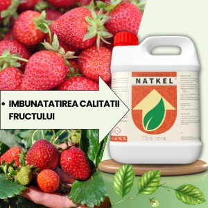 PACHET BIO Etapa 2 CAPSUNI - Stabilizarea Fructului, Crestere si Intensificare Culoare - Img 2