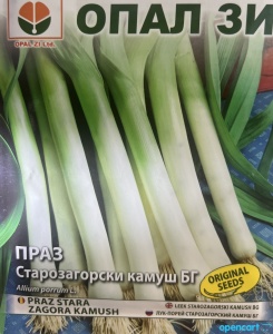 PRAZ STARA ZAGORA KAMUSH - Varietate de praz cu randament ridicat - Img 2