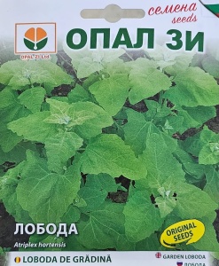 Seminte LOBODA VERDE DE GRADINA, circa 300 seminte/gram
