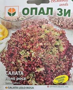 Seminte SALATA LOLO ROSA, varietate cu frunze rosii ondulate