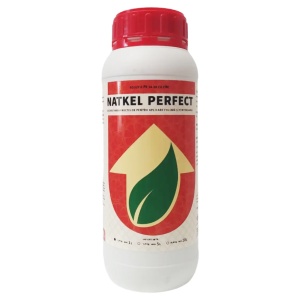 Stimulent Dezvoltare Fructe - Absorbtie Eficienta - NATKEL PERFECT - 1L