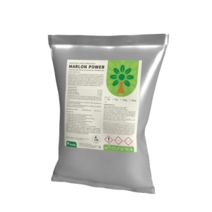 Aminoacizi cu actiune rapida - MARLON FORCE