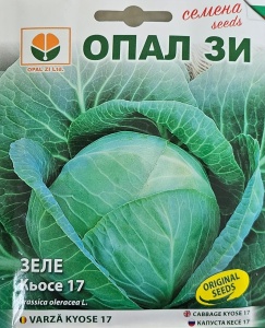 Seminte VARZA KYOSE 17, varietate pentru recoltare tarzie