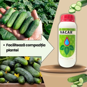 BIOPACK Etapa 2 CASTRAVETI – Crestere Vegetativa si Vigor - Img 4