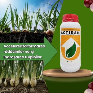 BIOPACK Faza 1 Ceapa - Pregatirea solului pana la aparitia bulbului - Img 4