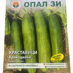 Seminte Castraveti CROCODILE, varietate productiva