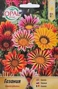 Seminte Gazania amestec, toleranta la uscaciune si caldura intensa