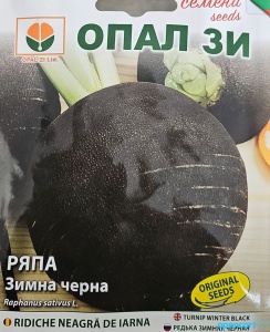 Seminte pentru Ridiche neagra de iarna, 10-12 cm diametru