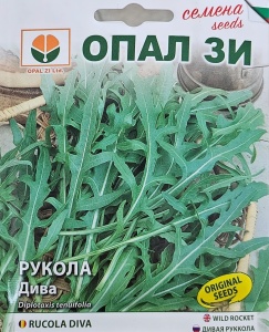 Seminte RUCOLA DIVA, potrivite pentru cultivare in sere pe tot parcursul anului