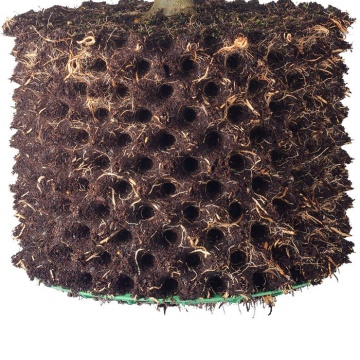 Ghiveci air pruning Neptune Hydroponics - Stimulează dezvolării rădăcinii