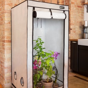 Cort de cultivare HOMEbox Ambient Q100+