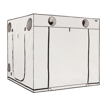 Cort de cultivare Homebox Ambient Q240+ 