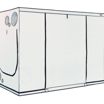 Cort de cultivare HOMEbox Ambient R300+