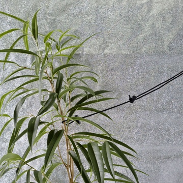 Mammoth Hold - suport reglabil pentru plante, până la 150 cm