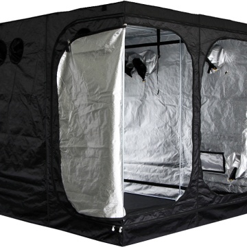 Mammoth Pro+ 200 - Cort de cultivare