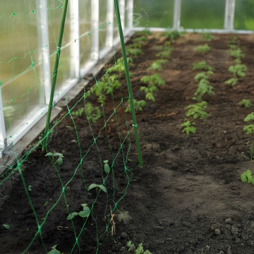 Plasă de susținere plante 1.7 x 100 metri - plasă de susținere pentru plante cățărătoare - Img 2