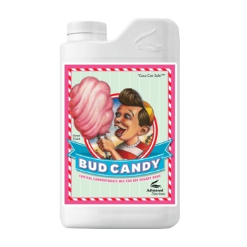 Bud Candy