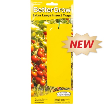 Capcane pentru insecte BetterGrow 10 buc (25 × 10 cm)