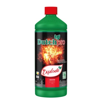 Dutchpro Explode